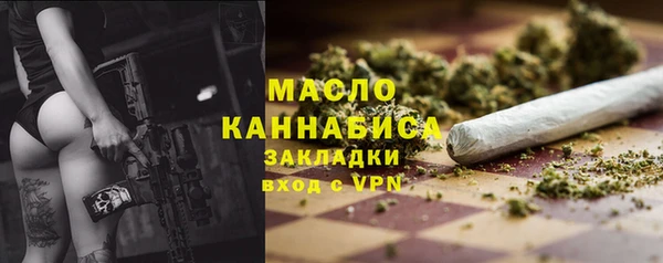 дмт Ладушкин
