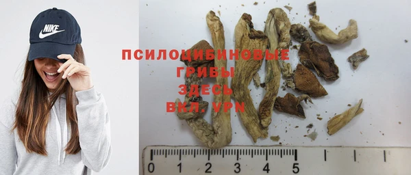 гидропоника Краснотурьинск