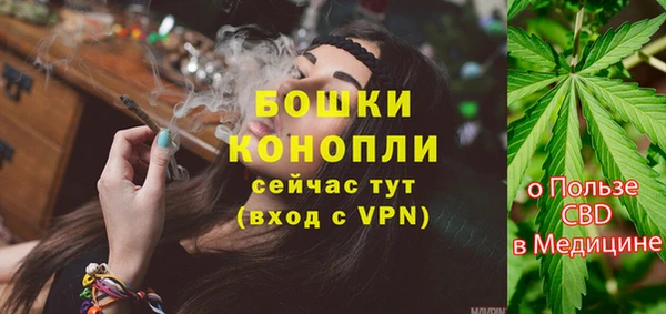 2c-b Кропоткин