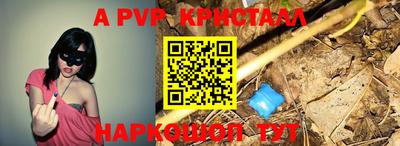 стафф Кинель