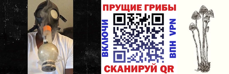 продажа наркотиков  Михайловка  Галлюциногенные грибы мухоморы 