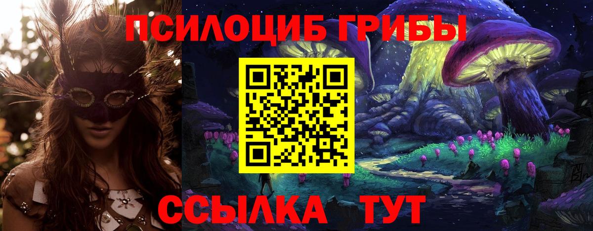 Галлюциногенные грибы мицелий  Галлюциногенные грибы MAGIC MUSHROOMS  Михайловка  Вход с VPN 