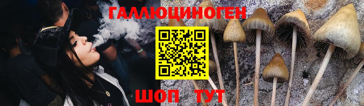 Галлюциногенные грибы Magic Shrooms Михайловка