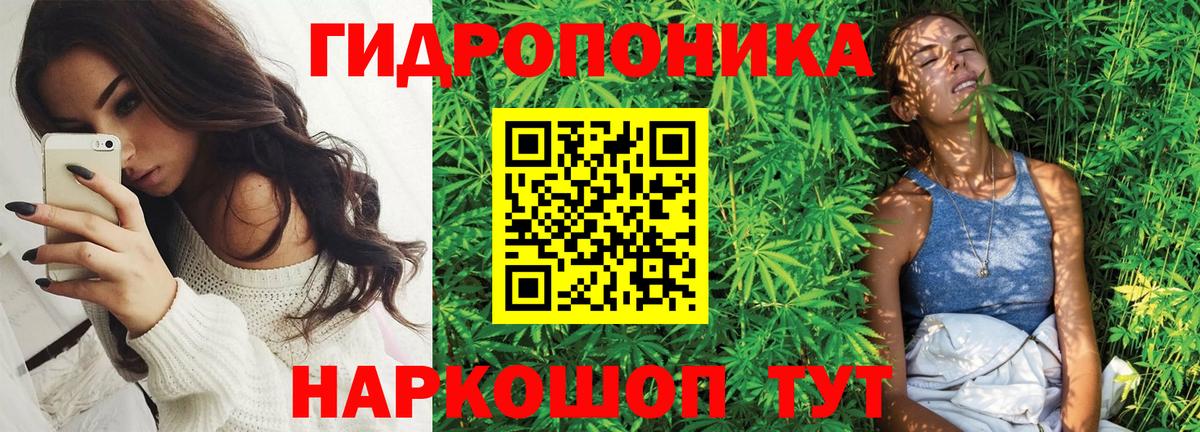 Бошки Шишки Bruce Banner Михайловка